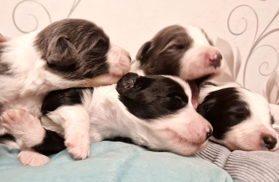 2-woche-gruppenbild2