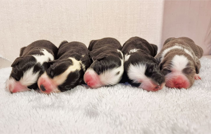 Gruppenbild-von-vorn