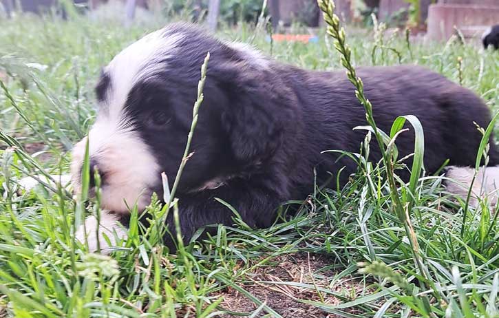 erster-gartenbesuch