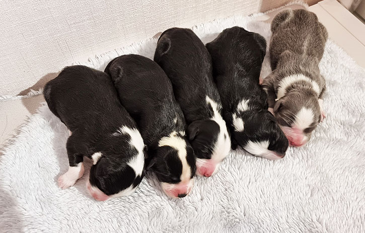 gruppenbild-von-oben