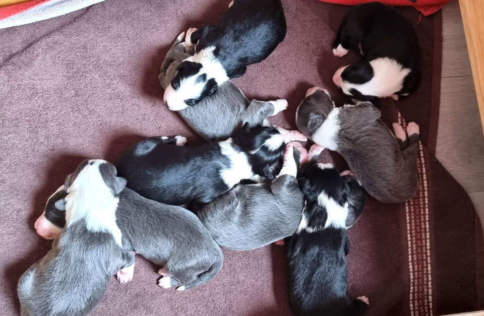 gruppenbild_2-1-woche