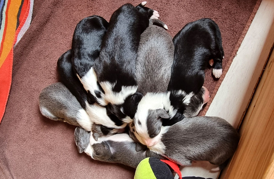 gruppenbild_3-1-woche