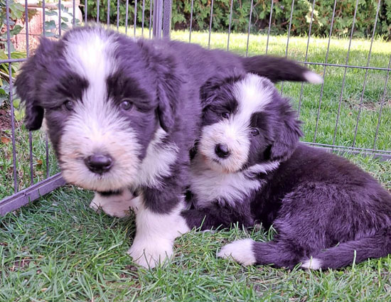 hero-schaut-interessiert