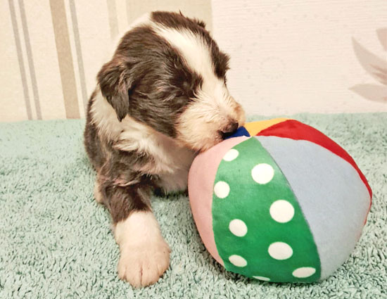 keepsake_ball_schmeckt