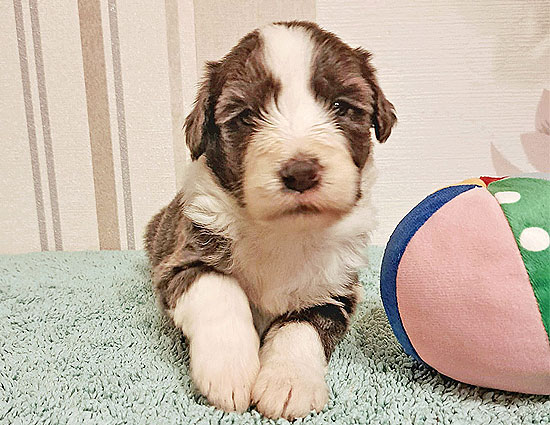 keepsake_blick_kamera