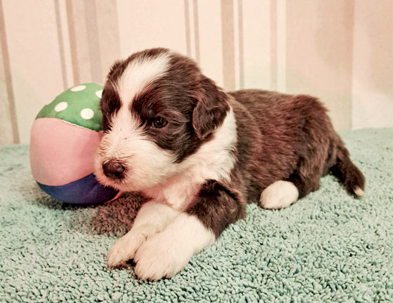 kidness_seitlich-liegend