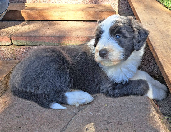 spirit-auf-der-treppe